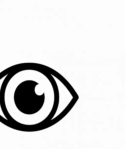 Vision